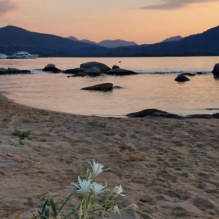 Apartamento A Punta Asfodeli Porto Rotondo